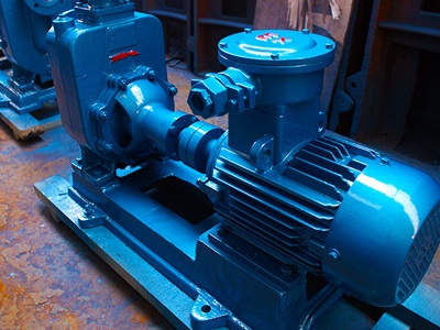 耐腐蝕氟塑料泵的選型