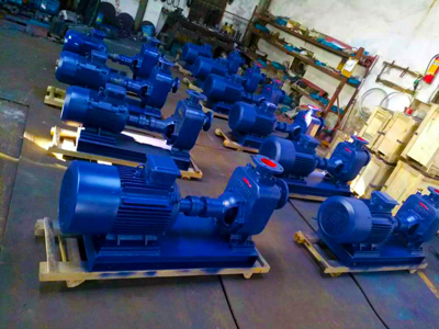 衛(wèi)生級自吸泵